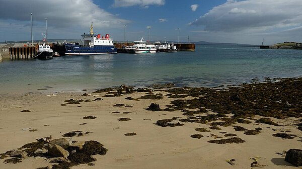 Flotta