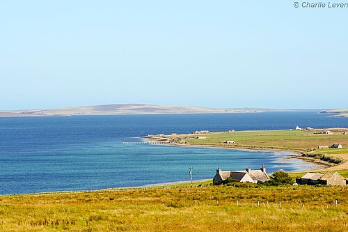 Flotta