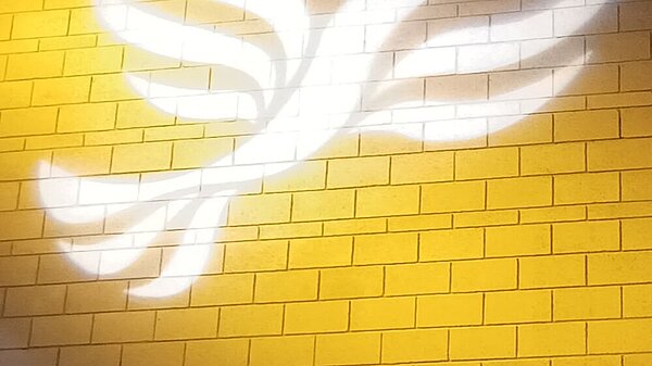 Lib Dem logo bird projected on blockwork