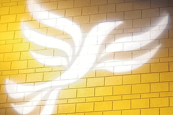 Lib dem logo